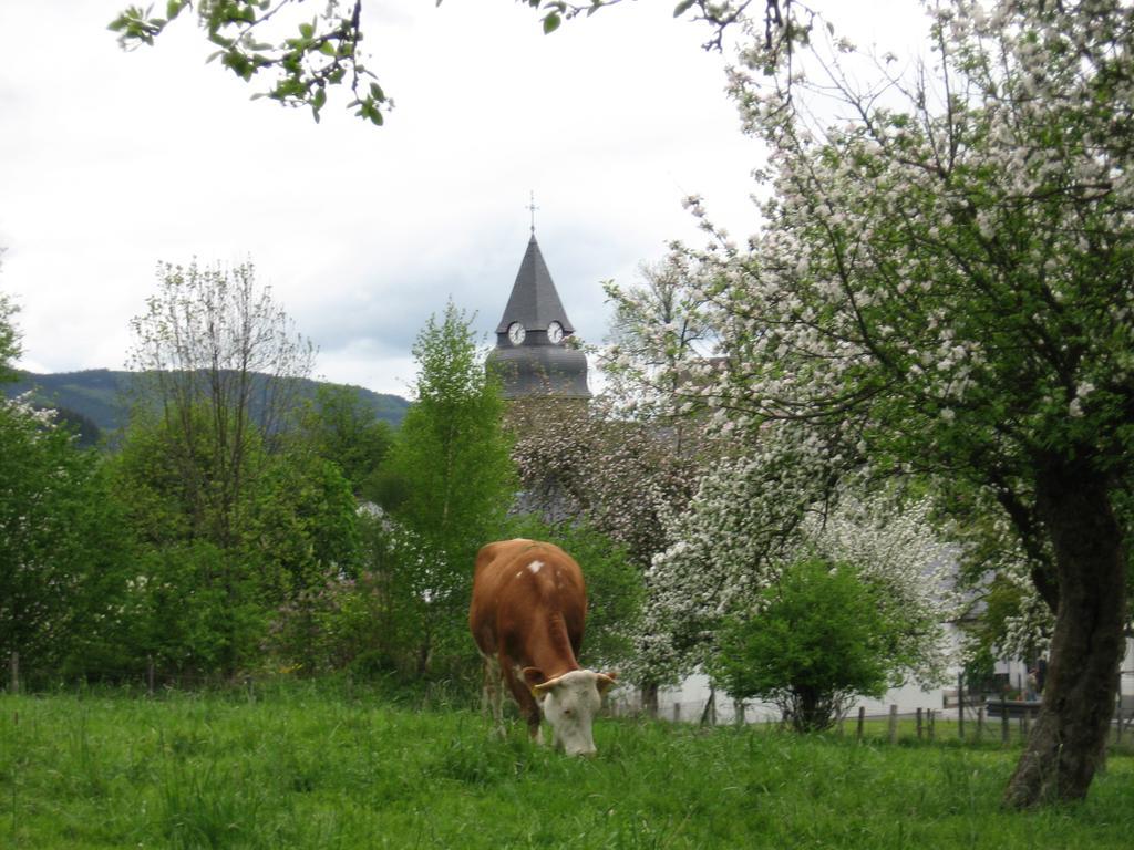 Ferienwohnung Moos-Hochsauerland Wiemeringhausen Номер фото