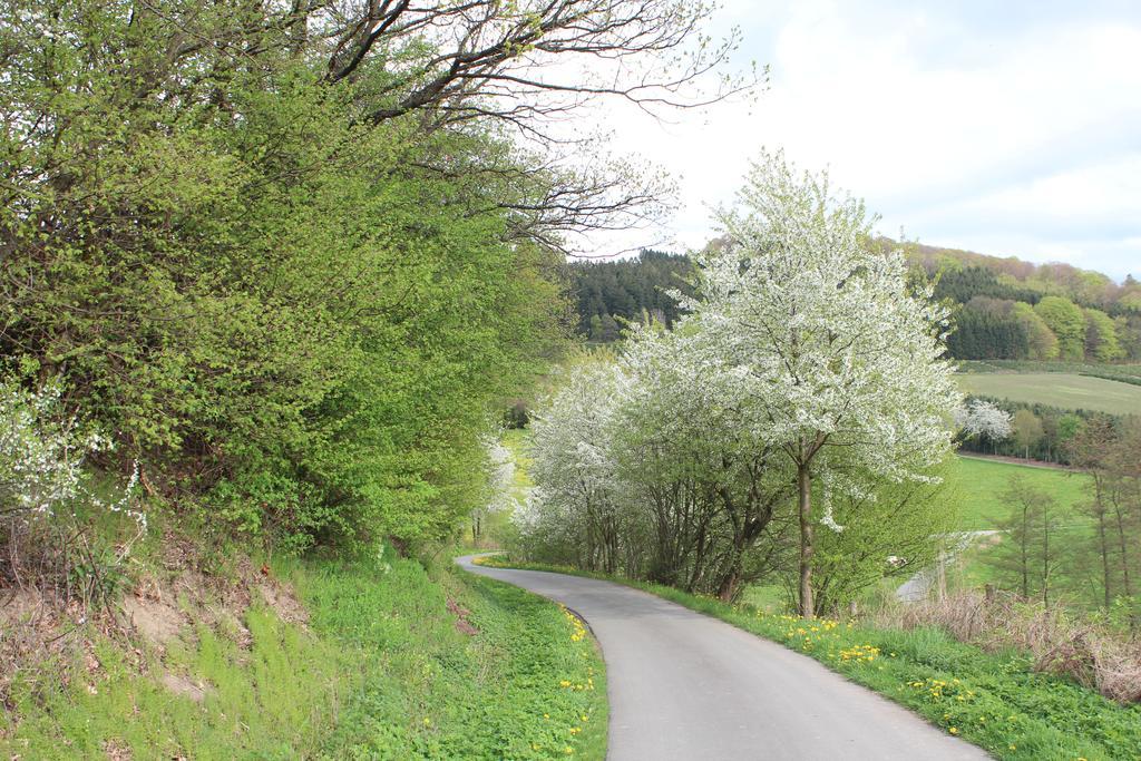Ferienwohnung Moos-Hochsauerland Wiemeringhausen Номер фото